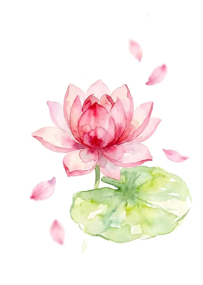 Lotus Flower Watercolor Poster — Pink Botanical Wall Art Floral Print Zen Home Decor