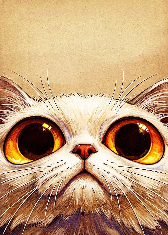 Close-up Portrait of a Cute Cat