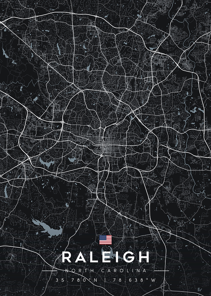 Raleigh North Carolina City Map Poster