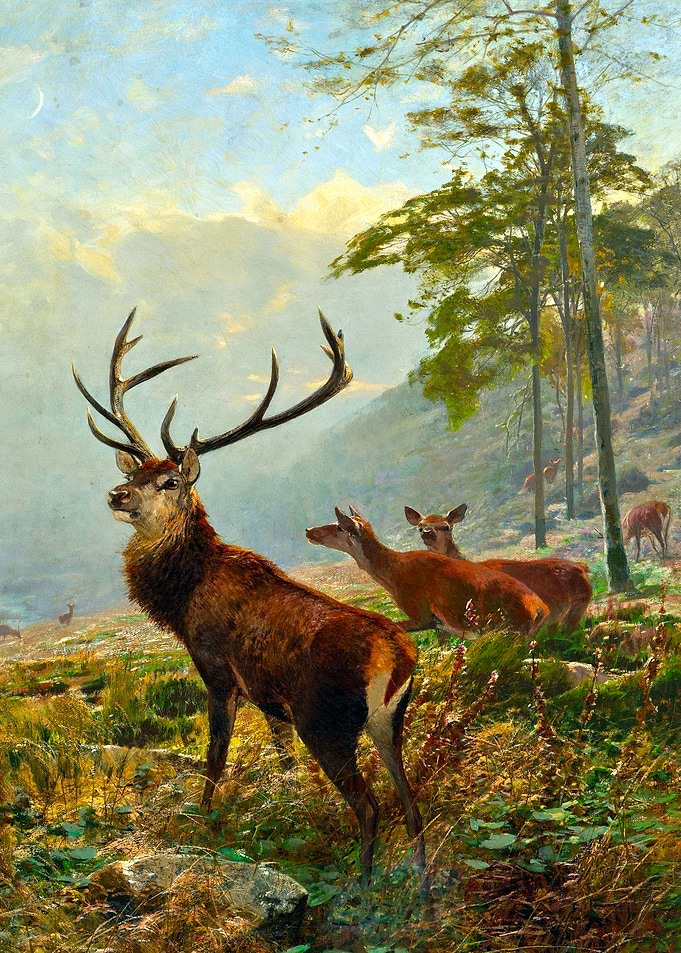 The Dominant Stag Painting by Christian Kroner
