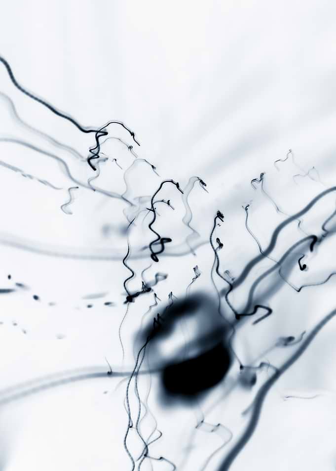 Abstract Monochrome Light Trails