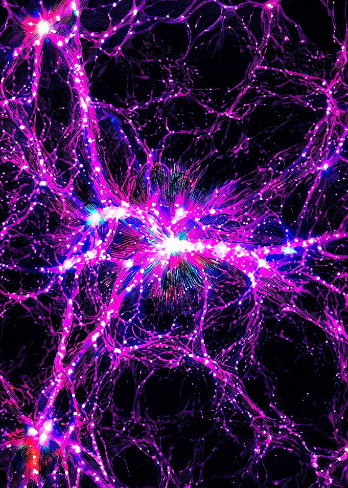 Vibrant Cosmic Neural Network