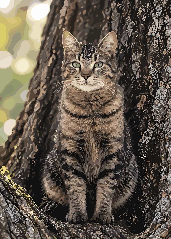 Tabby Cat Sitting in Tree