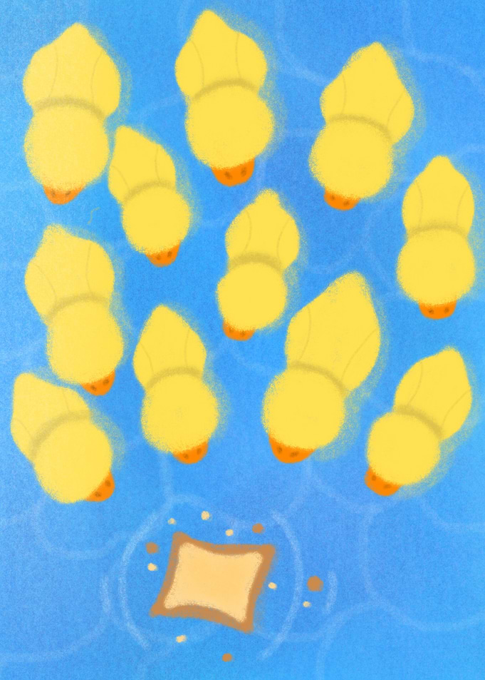 Group of Cute Yellow Ducklings