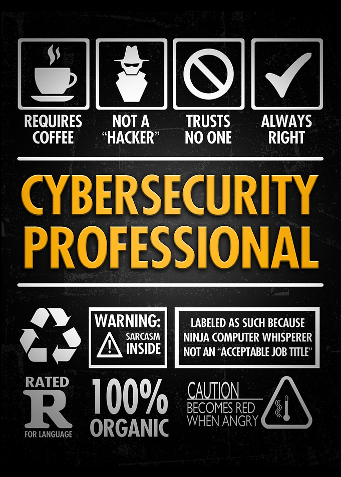 Cybersecurity Professional Humor Poster