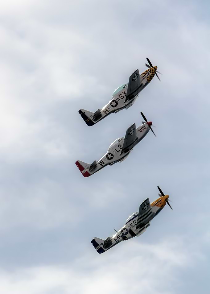 Mustangs