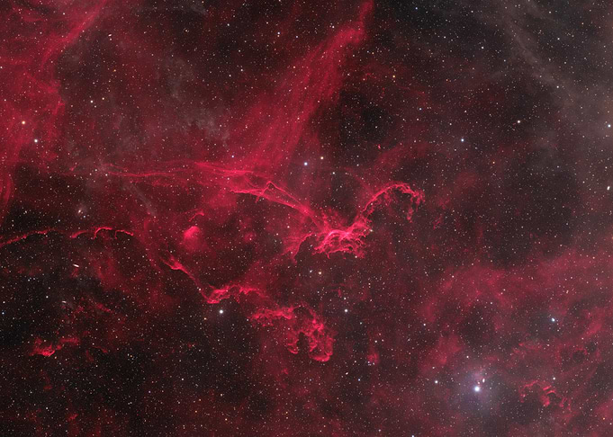 Dragon in the Dust