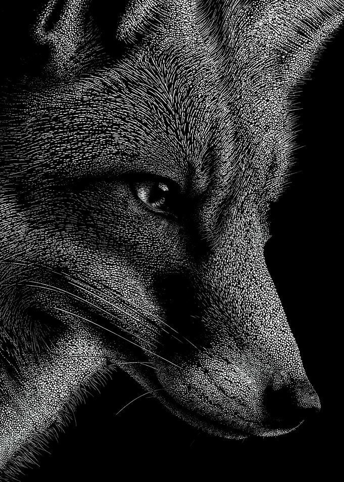 Intricate Monochrome Fox Profile In Stipple Dotwork