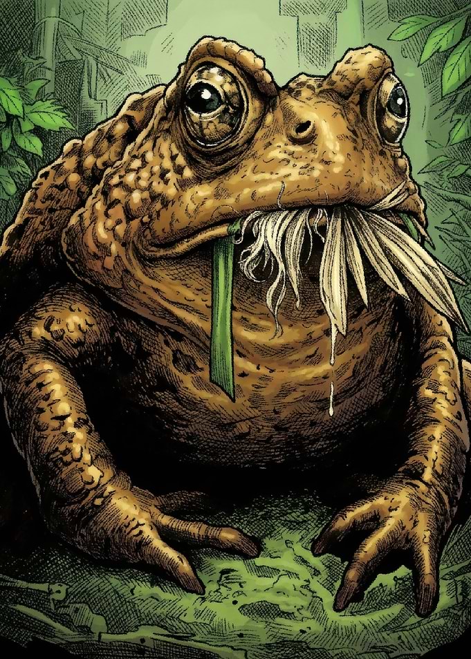 Detailed Illustration of a Toad
