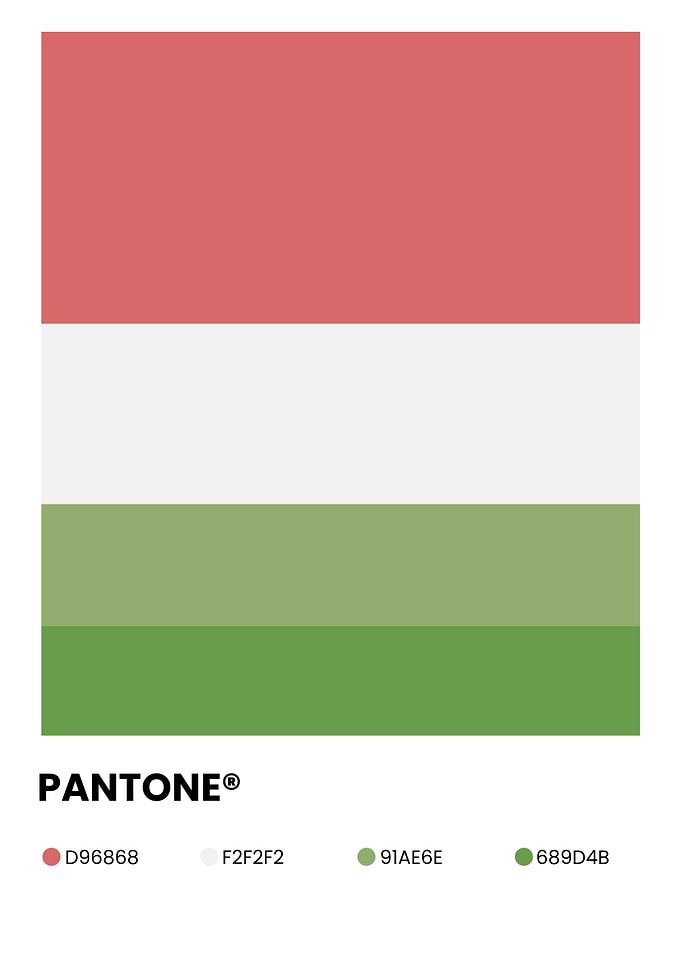 Pantone Color Palette Swatch