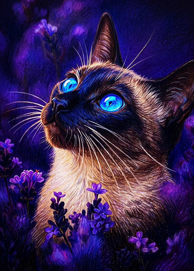 Siamese Cat in Purple Lavender Field