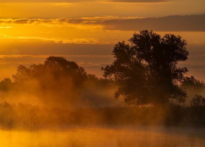 Golden Sunrise Over Misty Landscape