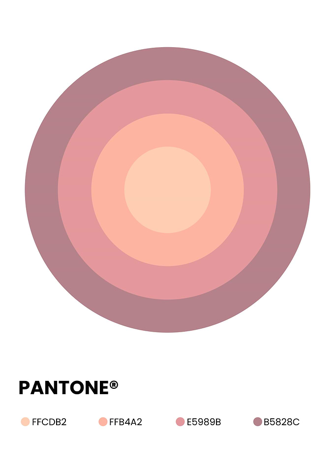 Pantone Color Palette Concentric Circles