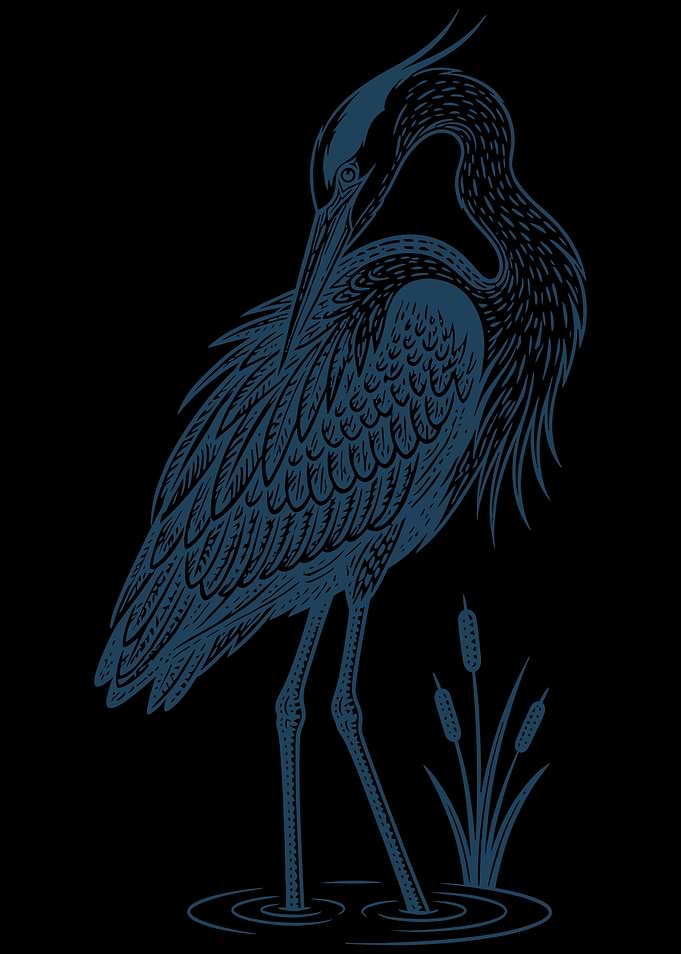 Stylized Blue Heron Illustration