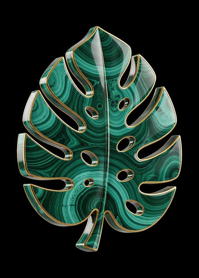 The Malachite Monstera