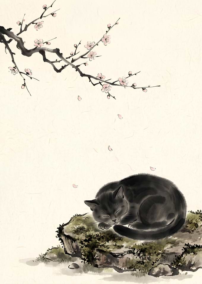 Sleeping Black Cat Under Cherry Blossoms