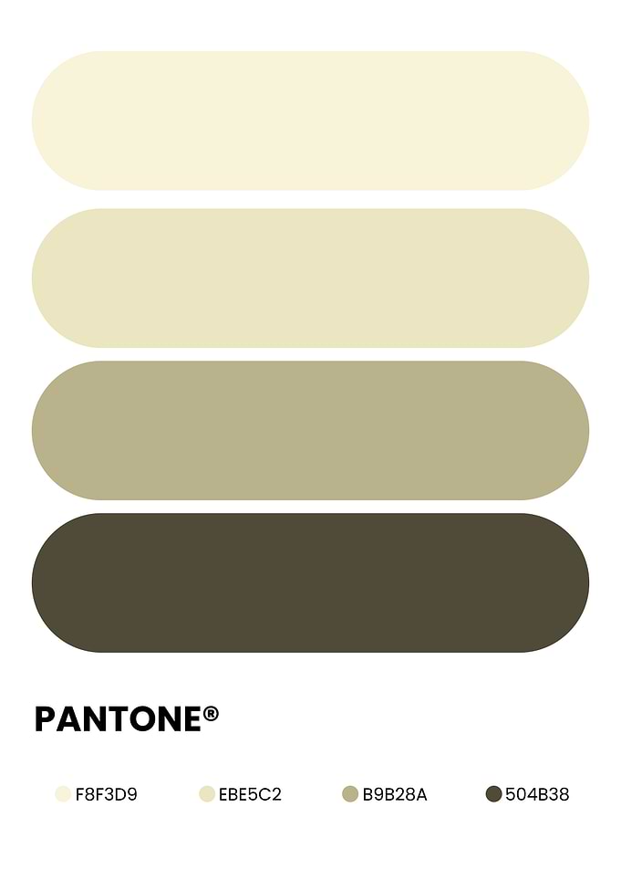 Pantone Earth Tone Color Palette