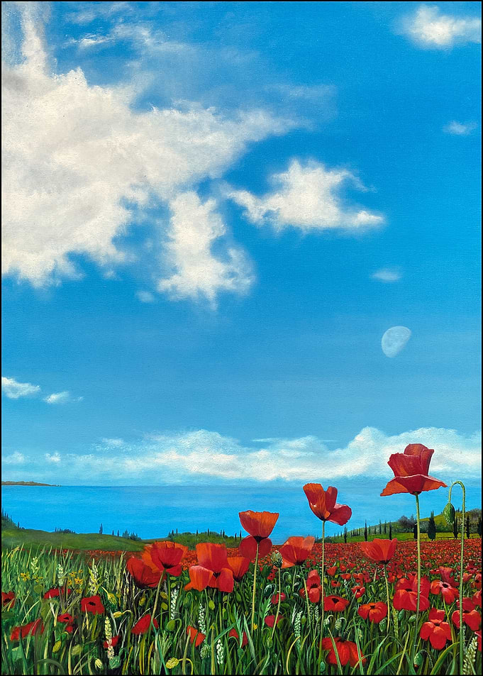 Poppy Field Under Blue Sky