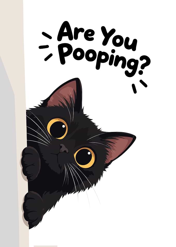 Are You Pooping ? Funny Black Cat