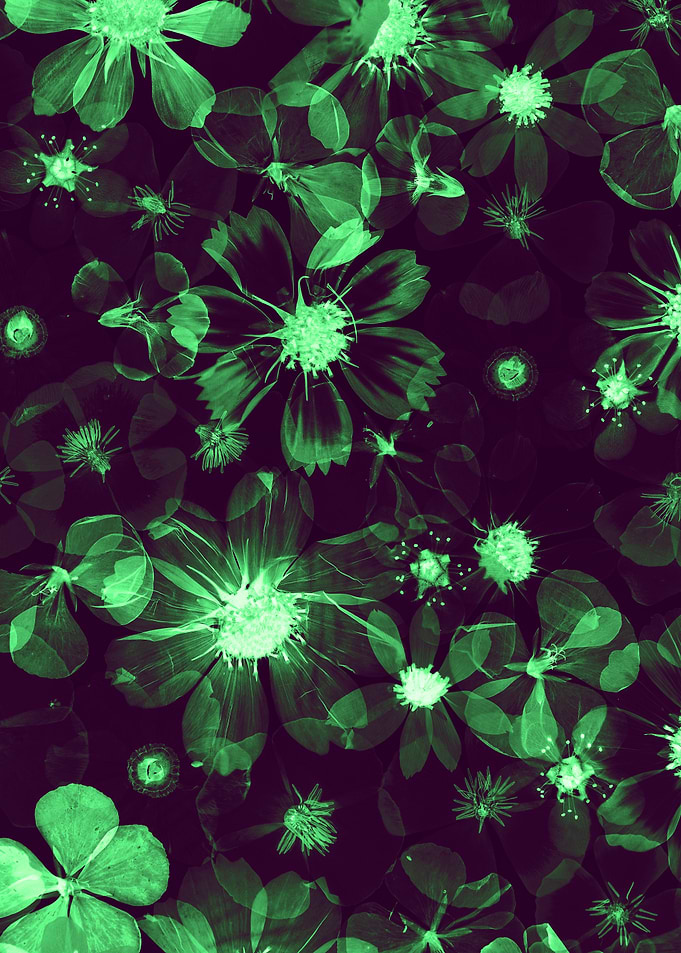 Neon Green X-Ray Floral Pattern