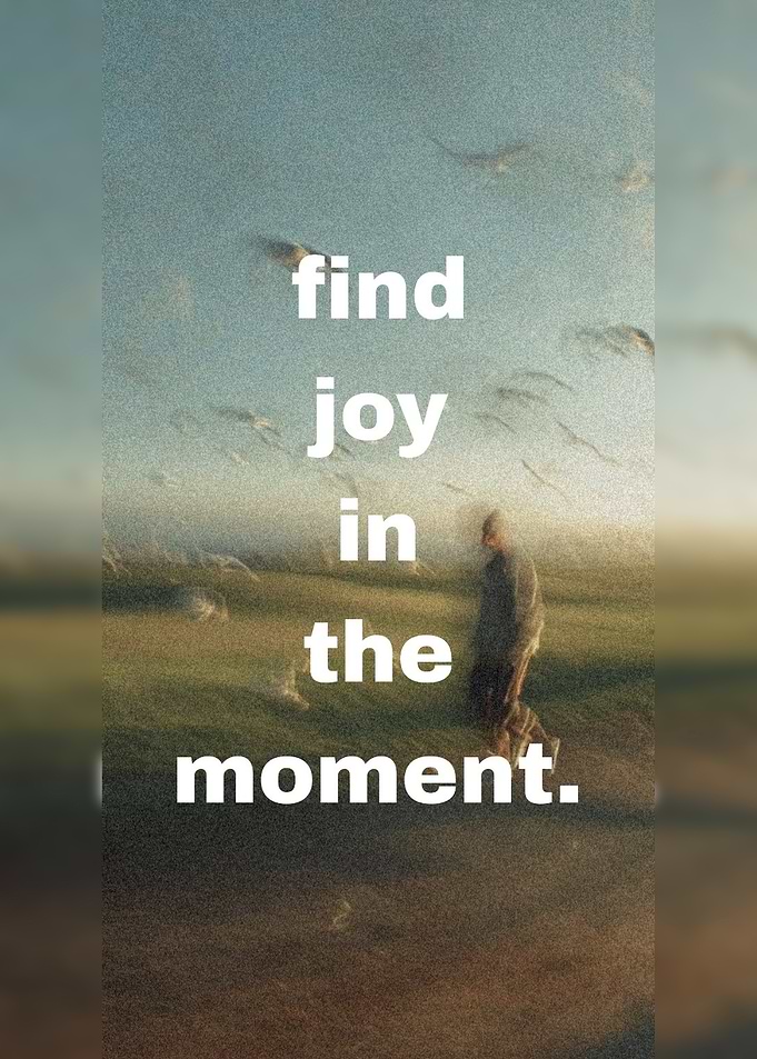 Find Joy in the Moment Quote