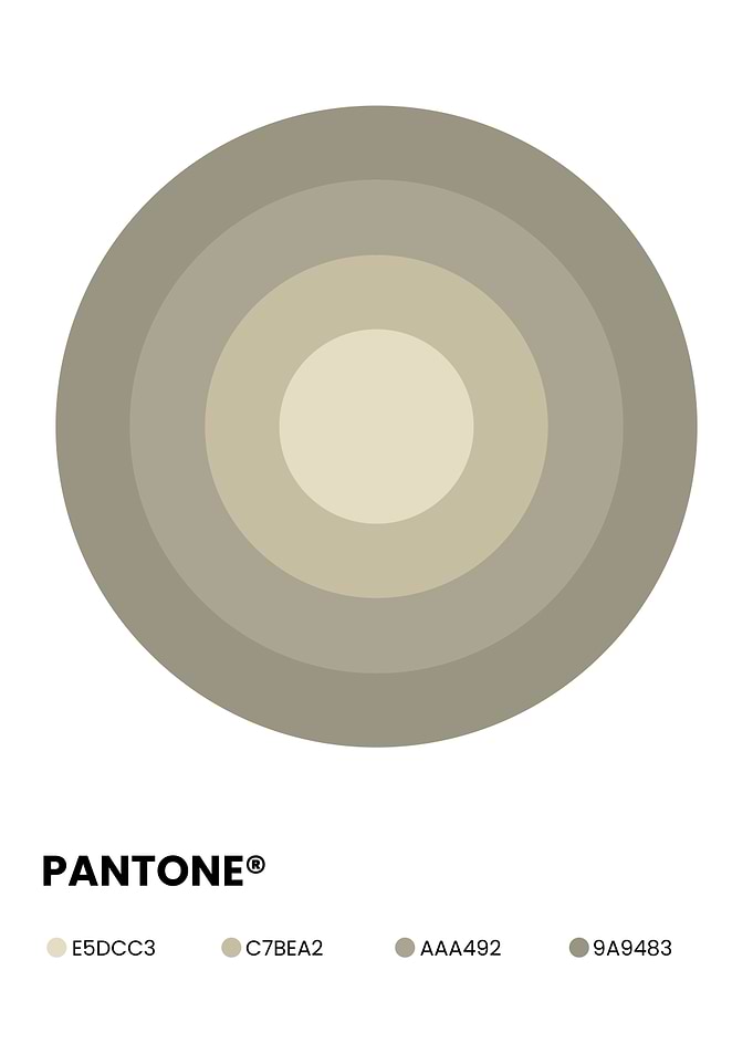 Pantone Neutral Color Palette Circle