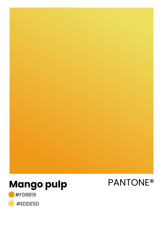 Pantone Mango Pulp Color Swatch