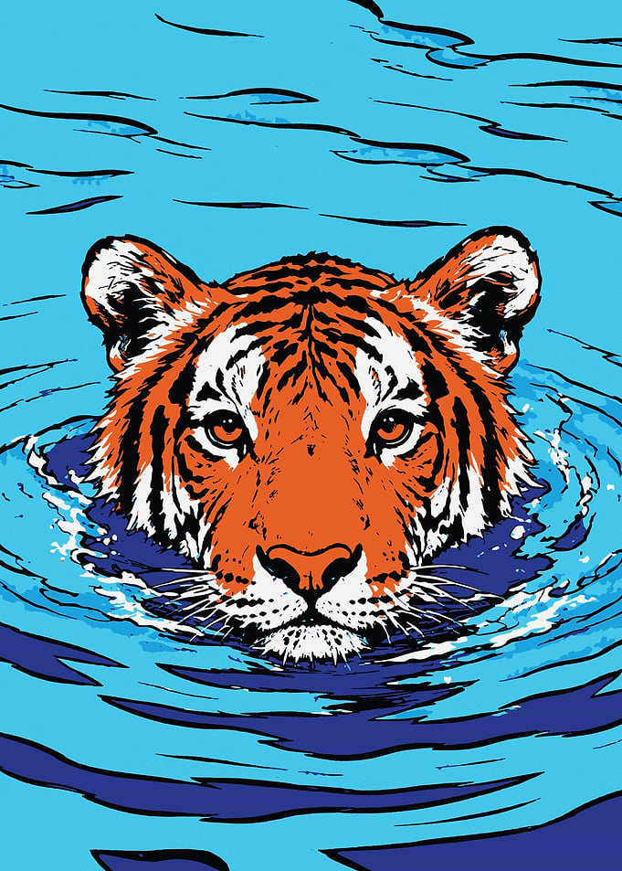 Tiger Swimming in Blue Water