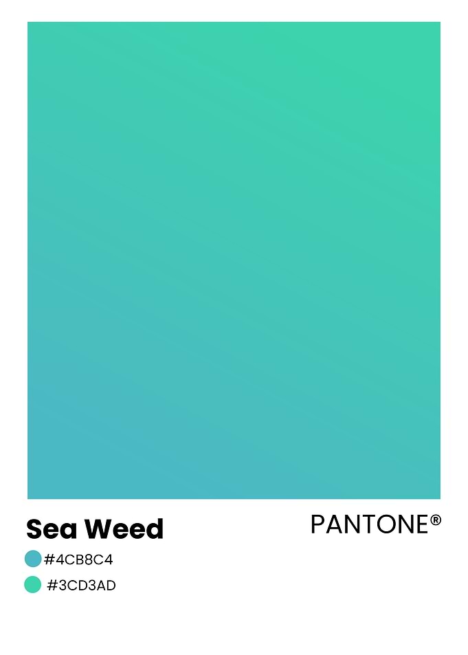 Pantone Sea Weed Color Swatch