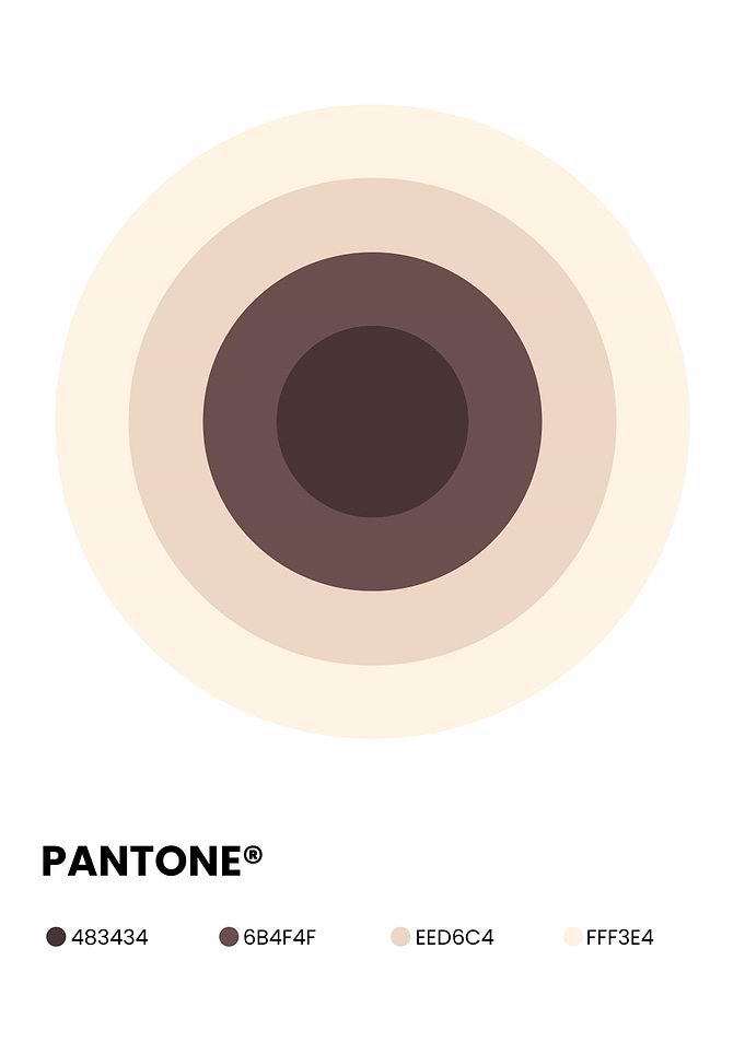 Pantone Color Palette Concentric Circles