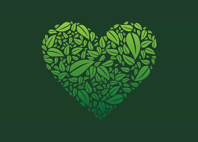 Heart Shape Made of Green Leaves