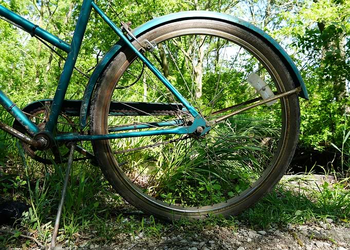 Teal Bicycle Wheel in Nature