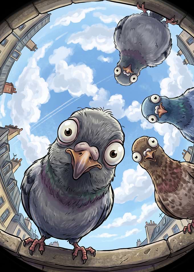 Funny Pigeons Looking Down Fisheye View