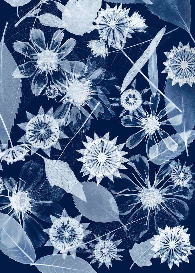 Cyanotype Botanical Floral Pattern