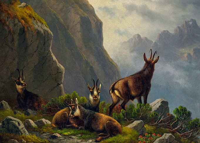 Chamois in the High Mountains Painting by Moritz Muller