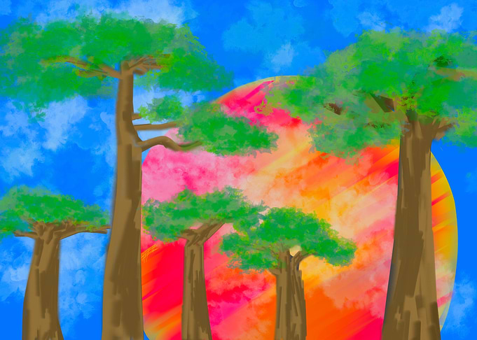 Vibrant Baobab Trees at Sunset