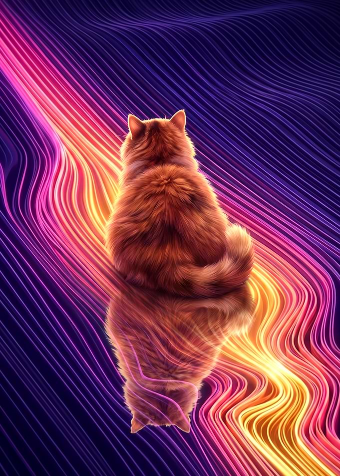 Fluffy Cat on Neon Waves