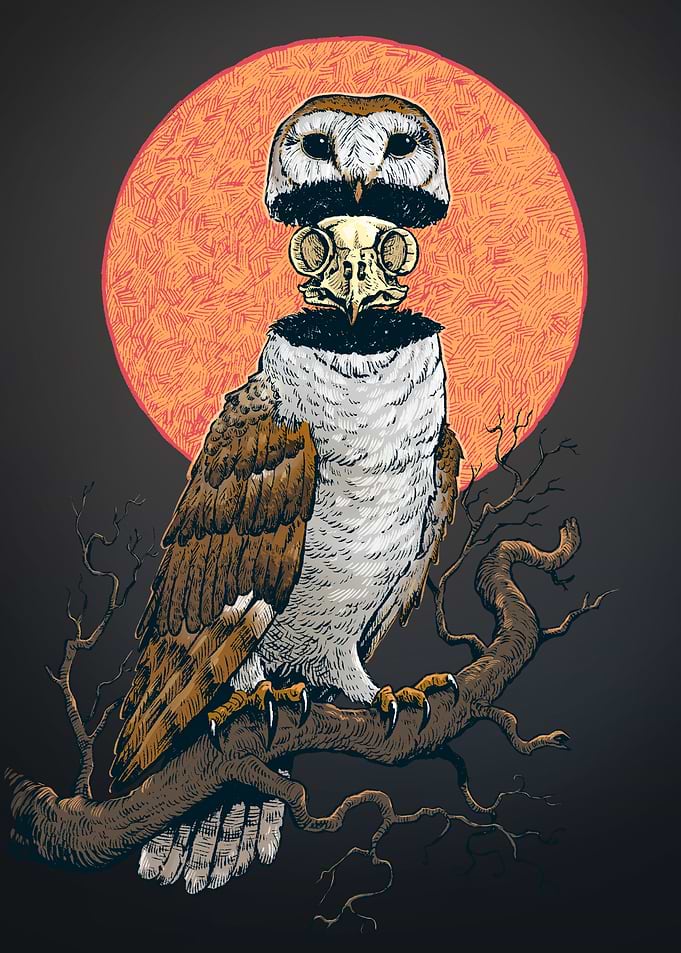 Surreal Owl with Skull Head Illustration