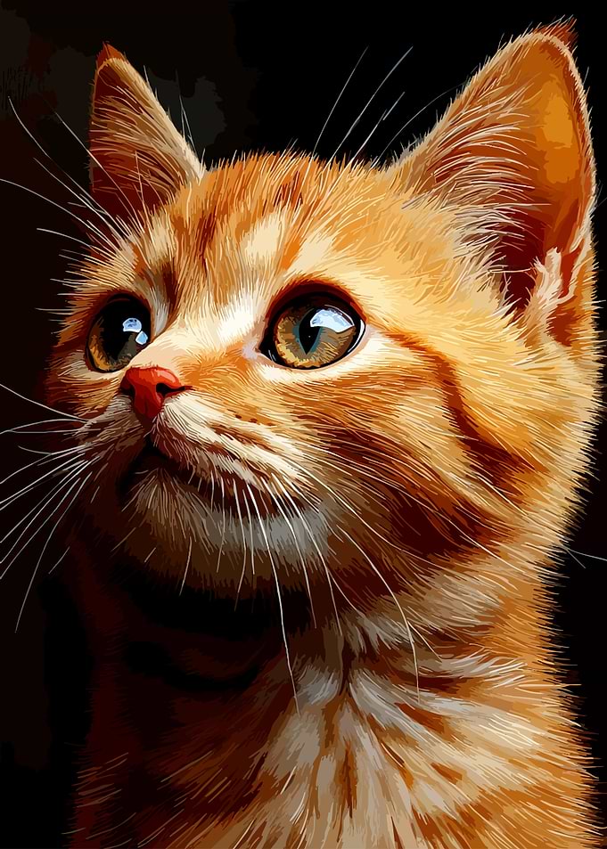 Portrait of an Orange Kitten