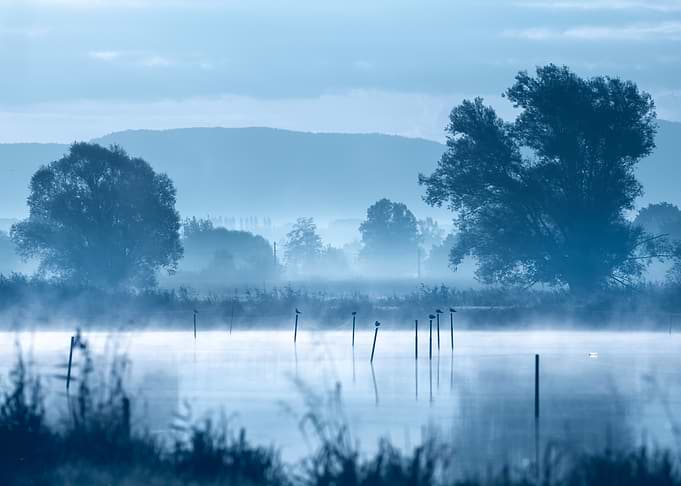 Misty Morning Lake Landscape