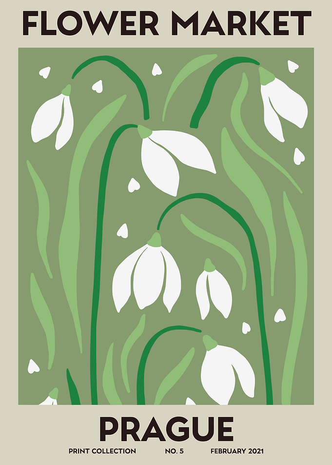 Prague Flower Market Snowdrop Poster