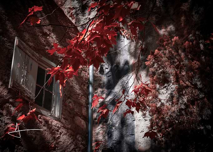 Autumn Leaves by Old Stone Window