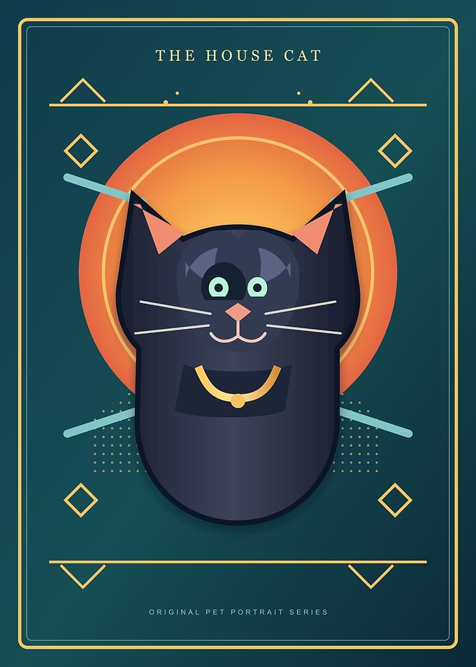 Minimalist House Cat Portrait Poster