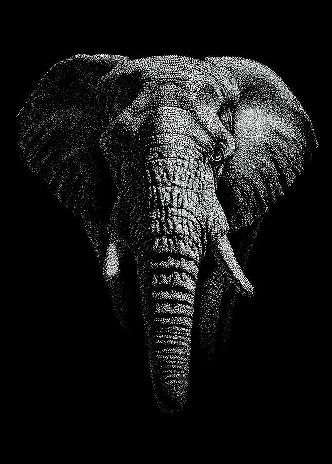 Majestic Monochrome Elephant Portrait In Stipple Dotwork