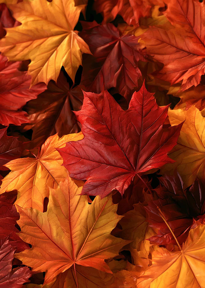 Vibrant Autumn Maple Leaves Background