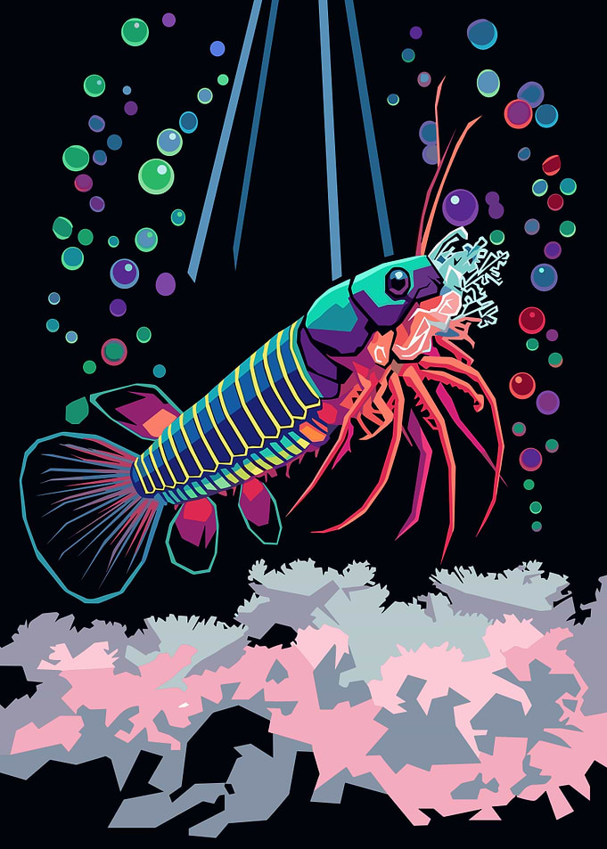 Vibrant Pop Art Shrimp Illustration