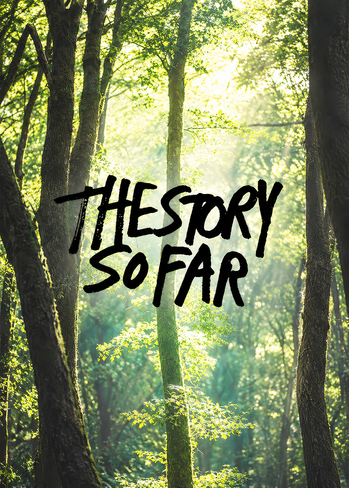 The Story So Far Forest Poster