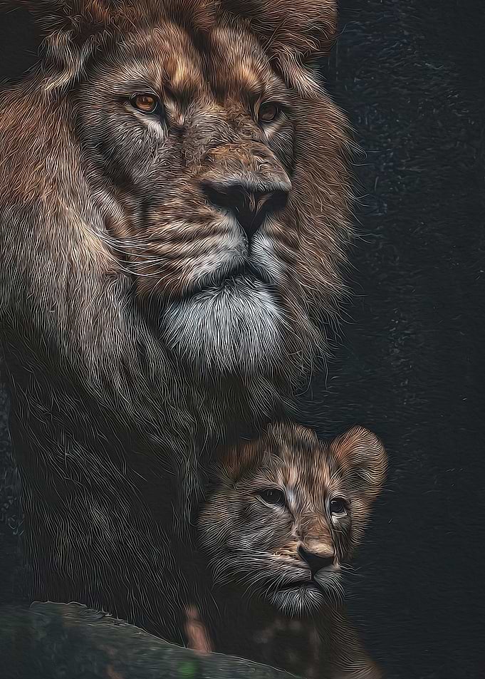 Majestic Lion and Cub Portrait