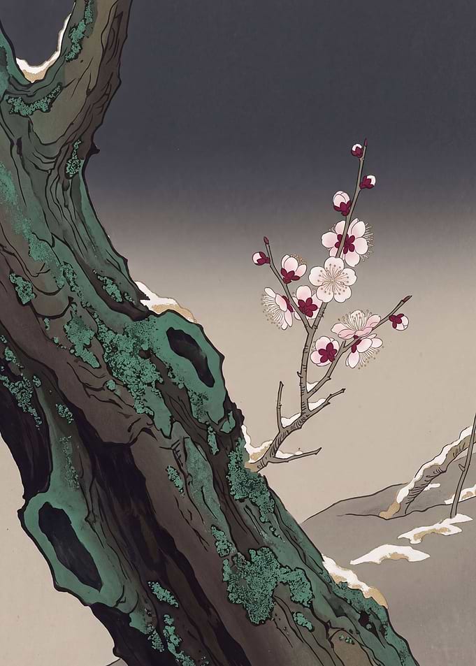 Nihonga Snowy Plum Blossoms on an Old Trunk