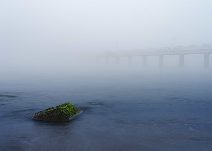 Mossy Rock in Foggy Sea